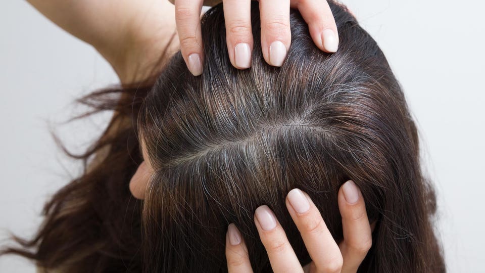The woman shows gray hair on her head. Hair with fragments of gray hair, hair roots requiring dyeing