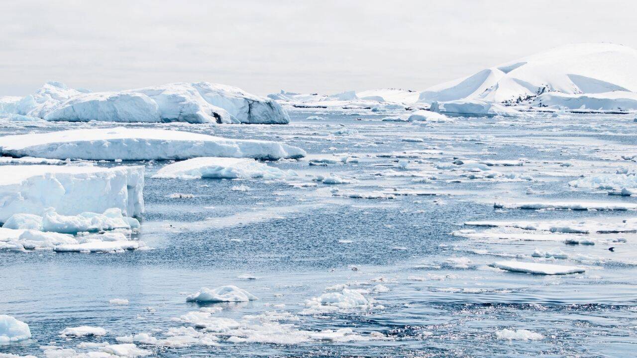 Antarctica