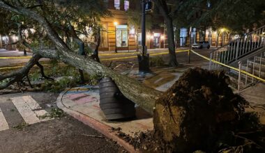 Trees down, NJ Transit service disrupted after storms move through Tri-State