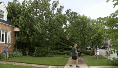 Storms down trees, leave thousands without power in Chicago area – NBC Chicago