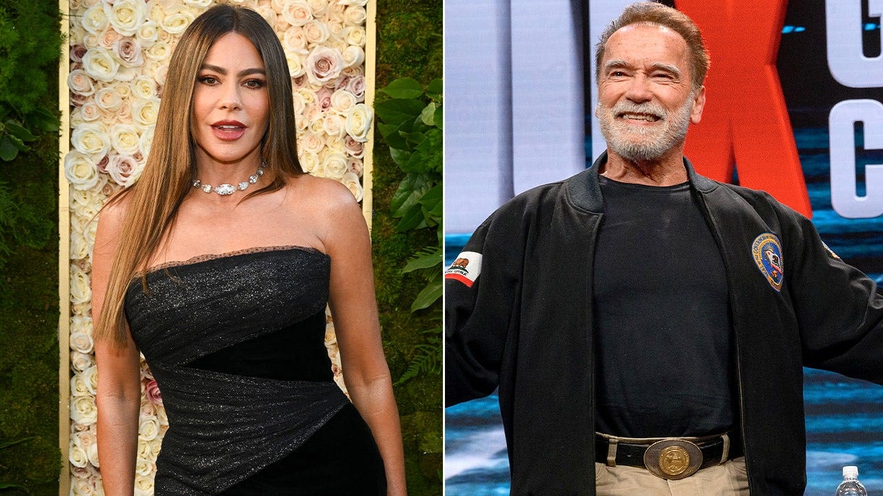 From Arnold Schwarzenegger to Sofia Vergara: Stars who became US citizens