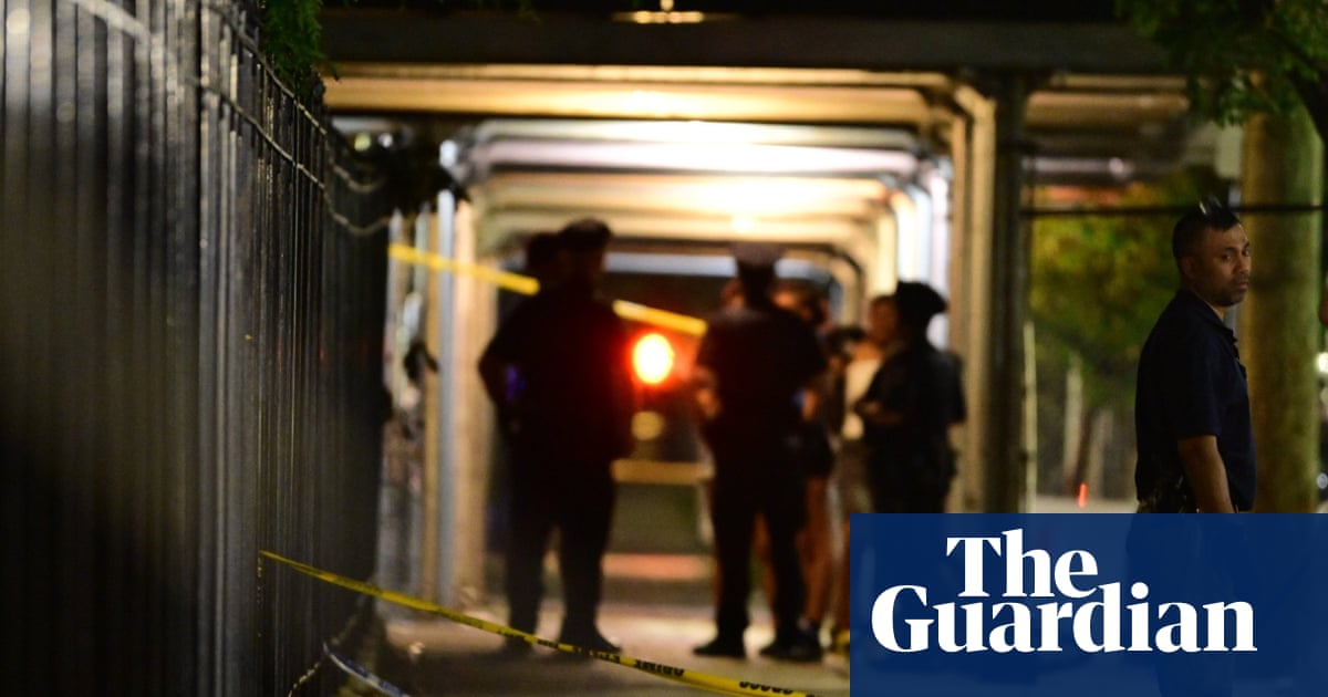 At least eight shot, including four children, in New York’s Coney Island | New York