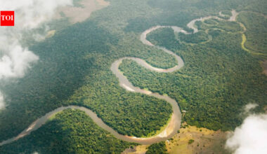 Congo River: Congo River releases 40,000 cubic metres of freshwater into the Atlantic every second. Scientists trace where it goes