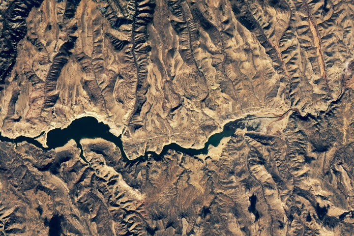 Examining Algal Blooms in Blue Mesa