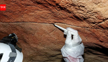 For the first time, scientists have recovered ancient DNA left behind on cave walls and rock art, opening a new way to study the people who made prehistoric art thousands of years ago