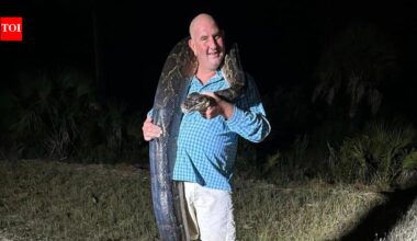 Florida dad grabbed a 202-pound Burmese python, then it started dragging him towards a canal before his entire family took down the giant snake | World News
