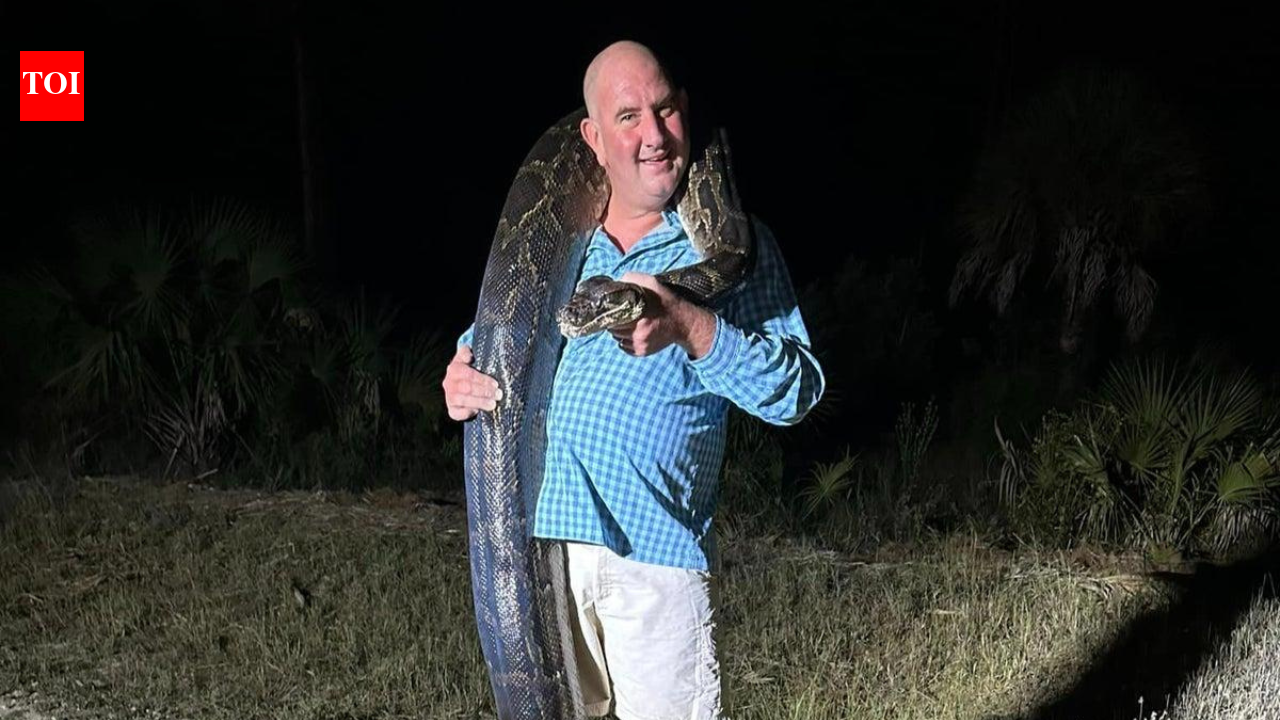 Florida dad grabbed a 202-pound Burmese python, then it started dragging him towards a canal before his entire family took down the giant snake | World News