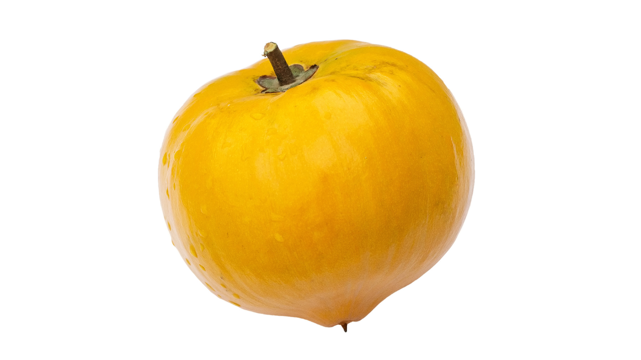 The fruit derived from Pouteria campechiana | Wikimedia Commons The fruit derived from Pouteria campechiana | Wikimedia Commons