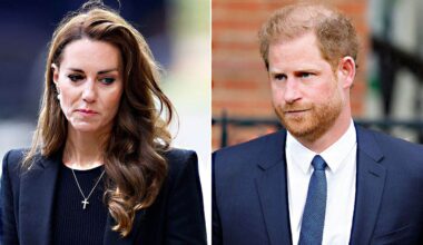 Kate Middleton not pushing for Prince William, Prince Harry reunion: experts