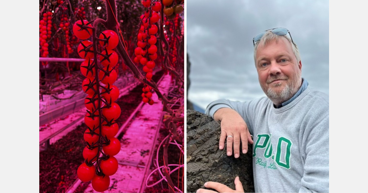 Growing through winter despite 7x higher electricity prices