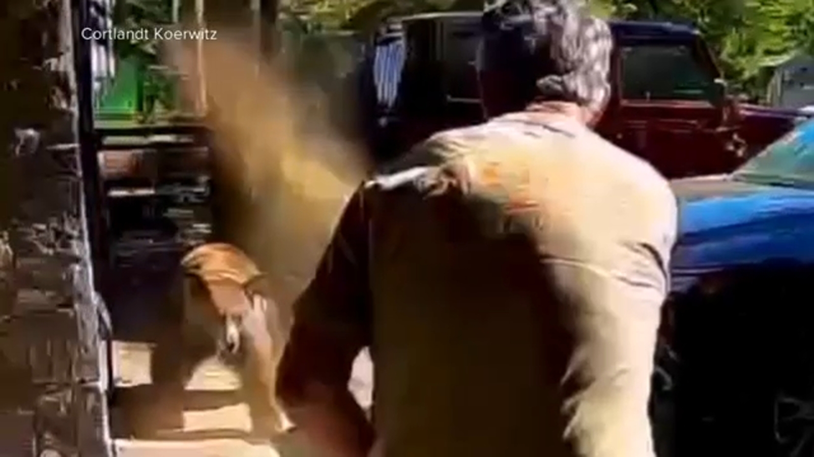 Bear spray helps Lake Tahoe father fend off charging bear after daughters spot animal going through garbage