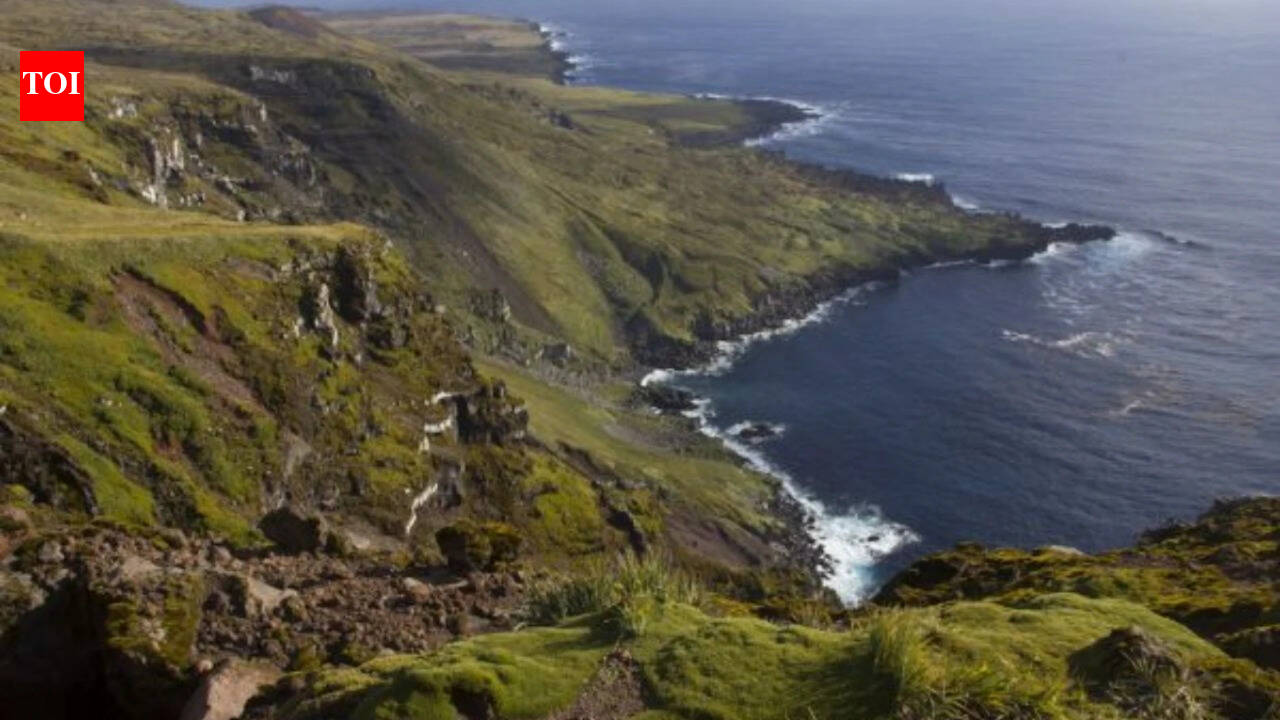 Six helicopters will drop 550 tons of poison on this island: Why a project is spending $10 million on this exercise |