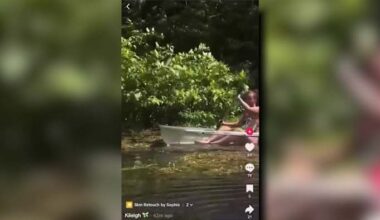 FWC investigates viral video appearing to show woman petting alligator at Silver Springs