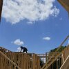 A worker building the roof stands atop the wood frame of a home under construction.