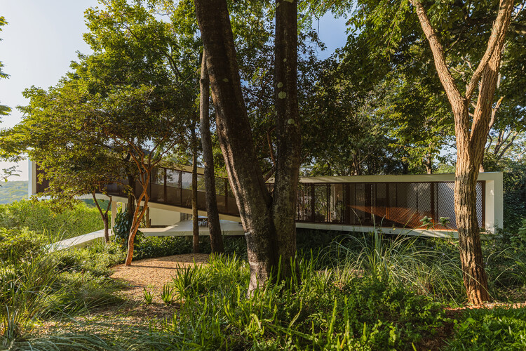 Ascendente House / TETRO Arquitetura - Exterior Photography, Garden