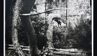 EV Grieve: 'Tompkins Trees' at Ninth Street Espresso on 10th Street