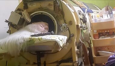 Polio survivor who was last American iron lung user dies at age 78