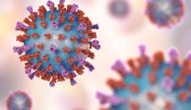 What is Chandipura Virus? Why this rare infection is raising concern again, and what every parent should know |