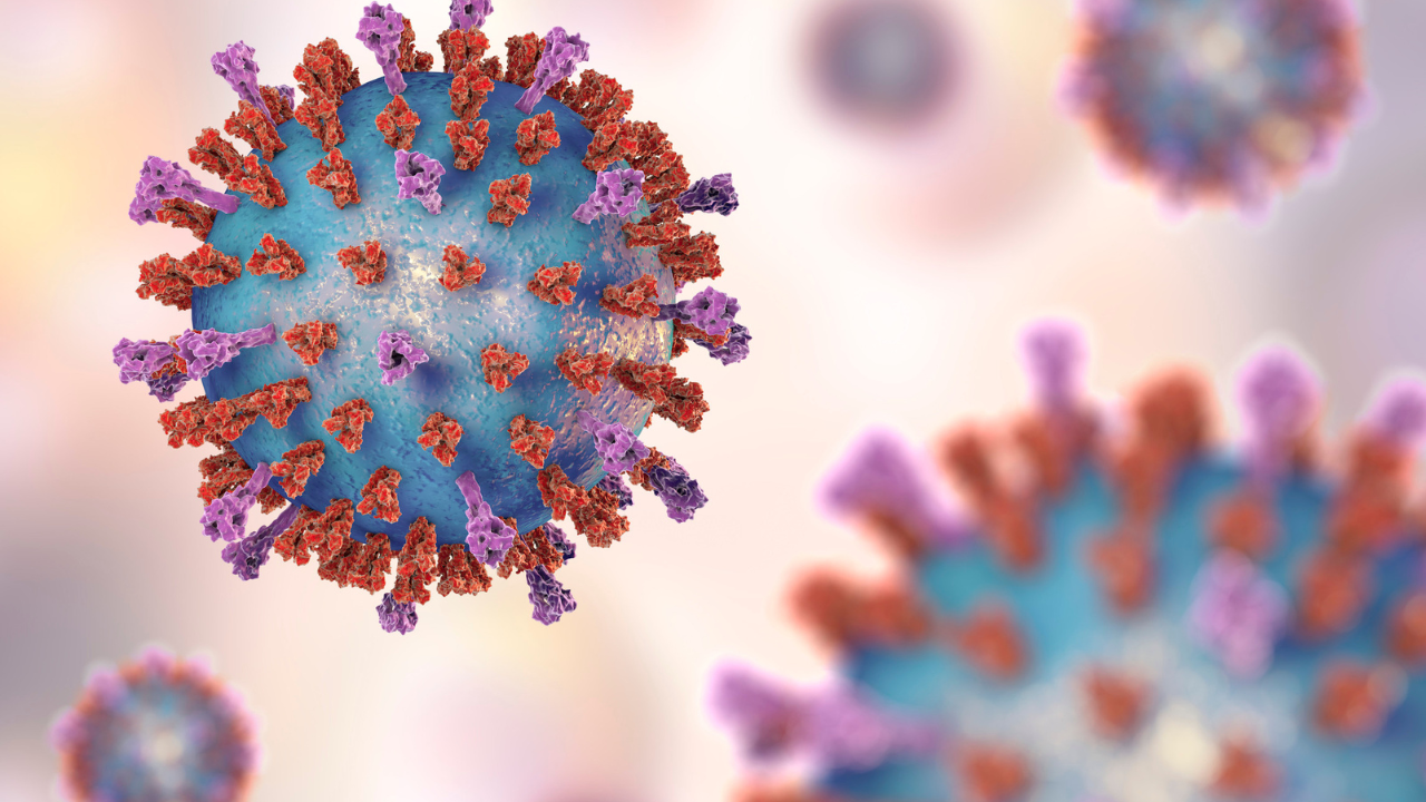 What is Chandipura Virus? Why this rare infection is raising concern again, and what every parent should know |