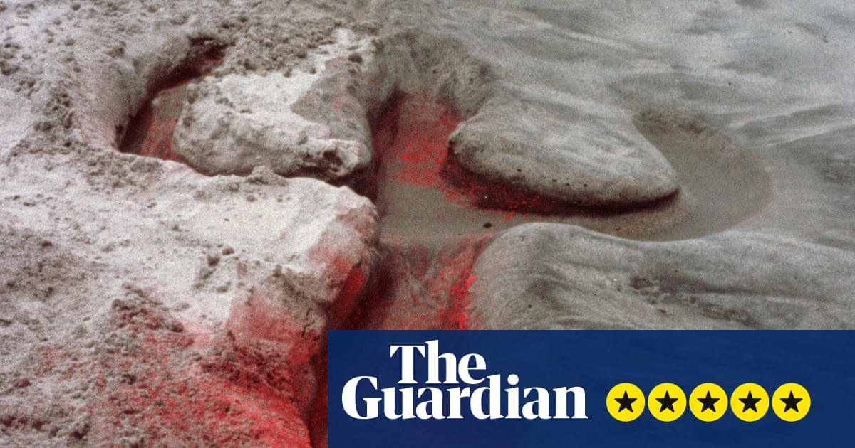 Ana Mendieta review – were she still alive she’d be at the forefront of art in this century | Art and design