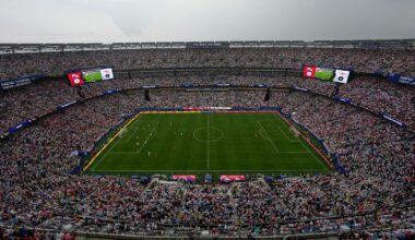 FIFA selling the field to be used for the World Cup final for $450 a piece