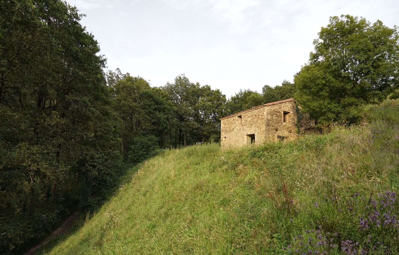 A New Envelope Turns This Old Stone Stable in Spain Into a High-Performing Home