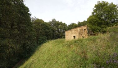 A New Envelope Turns This Old Stone Stable in Spain Into a High-Performing Home