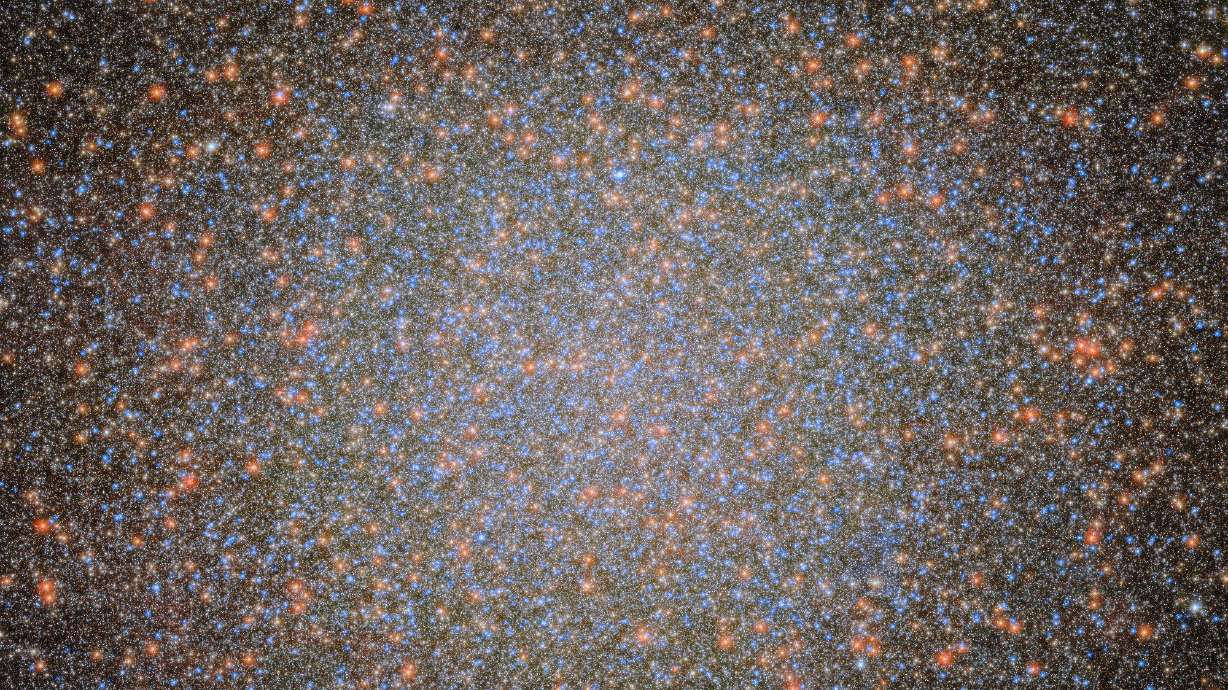 'Surprising and exciting': U. astronomers harness NASA telescopes for black hole discovery