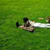 A woman uses a laptop as she lies on the grass in a park in the Manhattan borough of New York City on April 24, 2026.