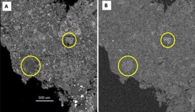 NASA Study of Pristine Meteorite Adds to Story of Ancient Asteroids