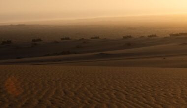 These ‘invisible buildings’ are hidden in the Namibian desert