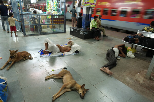 Residents and stray dogs rest on the platform of a railway station to escape the heat in Banda, northern Indian state of Uttar Pradesh, Saturday, June 20 , 2026. (AP Photo/Rajesh Kumar Singh)
