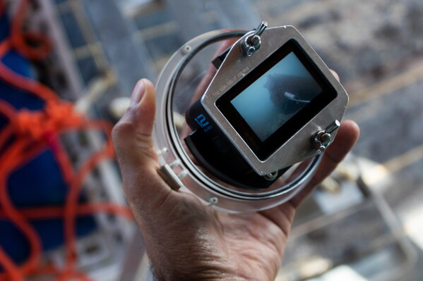 cientific coordinator Leonardo Mitrano Neves reviews footage recorded by a Baited Remote Underwater Video System during monitoring for a shark project in Ilha Grande Bay, Angra dos Reis, Rio de Janeiro state, Brazil, July 14, 2026. (AP Photo/Bruna Prado)