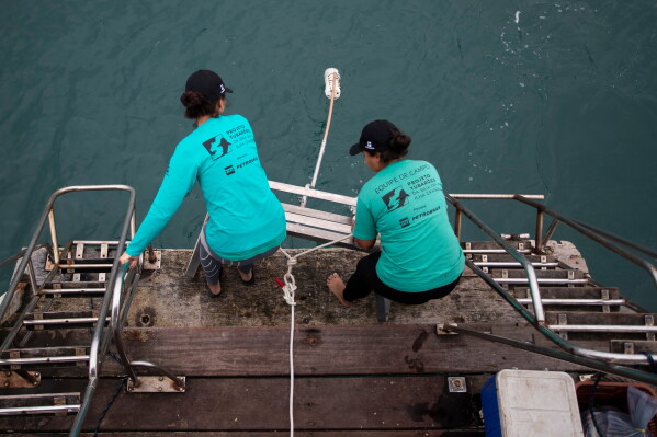 Researchers Beatriz da Costa e Castro, left, and Thaissa Albuquerque Ribeiro Augusto deploy a Baited Remote Underwater Video System as part of a shark project in Ilha Grande bay, Angra dos Reis, Rio de Janeiro state, Brazil, July 14, 2026. (AP Photo/Bruna Prado)