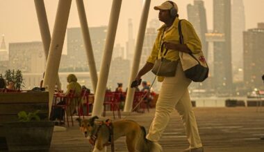 Smoke-filled skies are new normal for NYC summers, experts warn