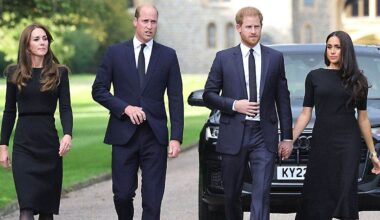 Prince William, Kate Middleton kept in dark about Harry's secret reunion: report