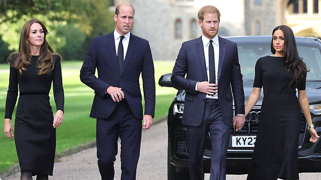 Prince William, Kate Middleton kept in dark about Harry's secret reunion: report