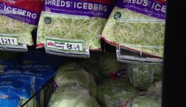 Cyclospora cases prompt questions about produce safety; Utah cases not linked to national outbreak