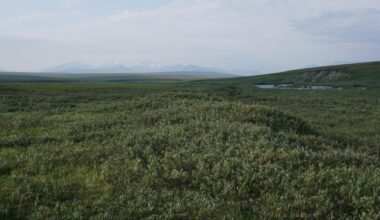With industry wary of Arctic refuge, Alaska’s own government plans a lonely quest for oil