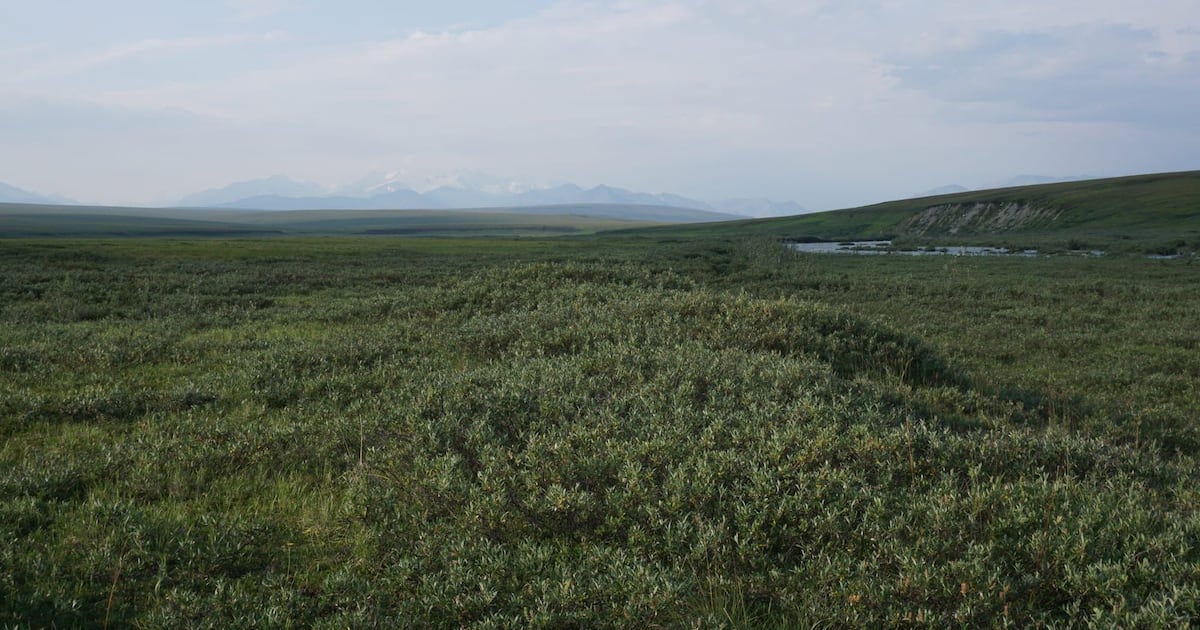 With industry wary of Arctic refuge, Alaska’s own government plans a lonely quest for oil