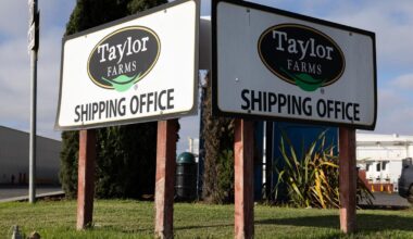 Tests Linking Taco Bell Supplier Lettuce To Cyclosporiasis Outbreak Were ‘False Positive’