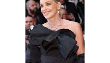 Sharon Stone's Radical Life Reclaim: From Drug-Free Living to Artistic Triumph