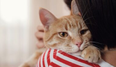Cats May Not Be the Stress Relievers Owners Believe