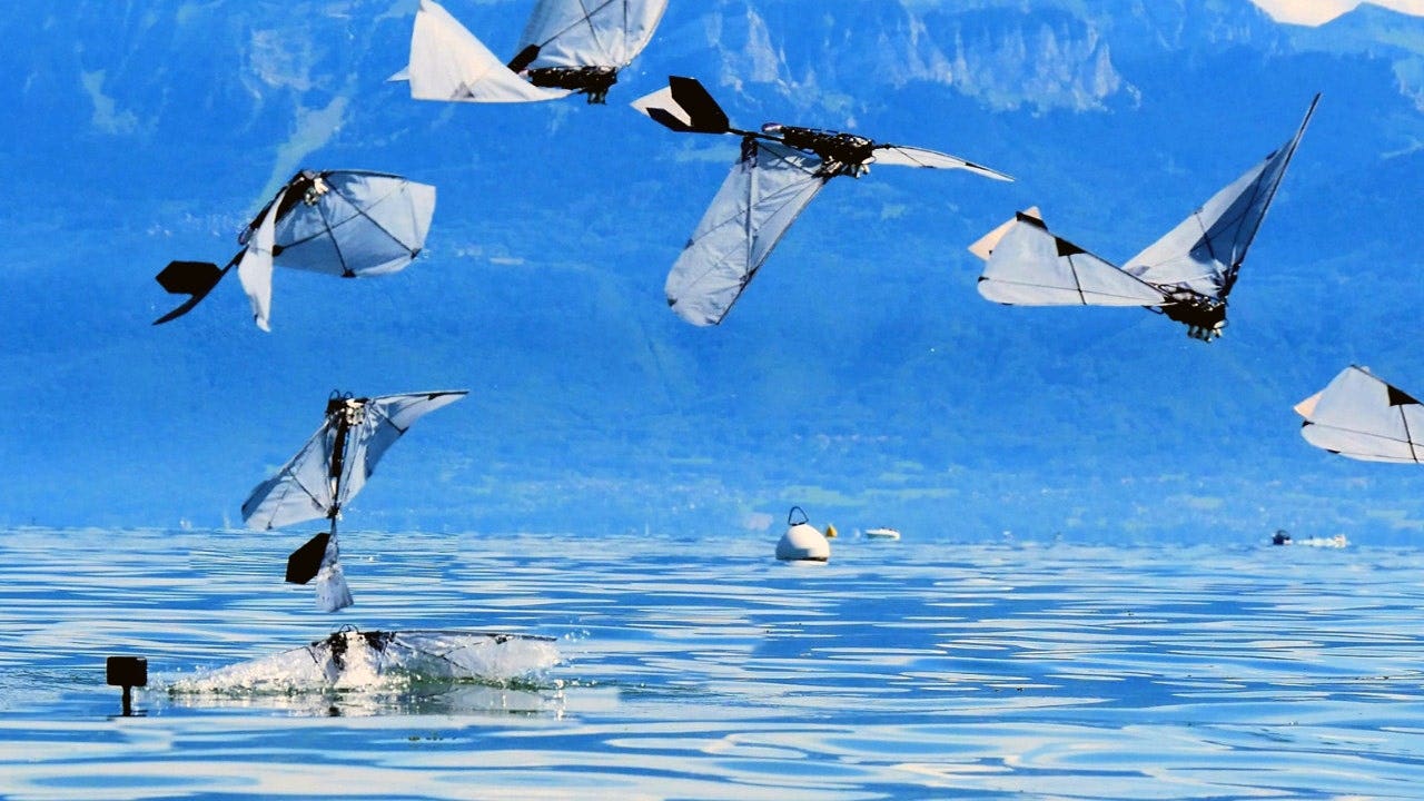 MIT and EPFL build robot bird that flies, dives and swims underwater
