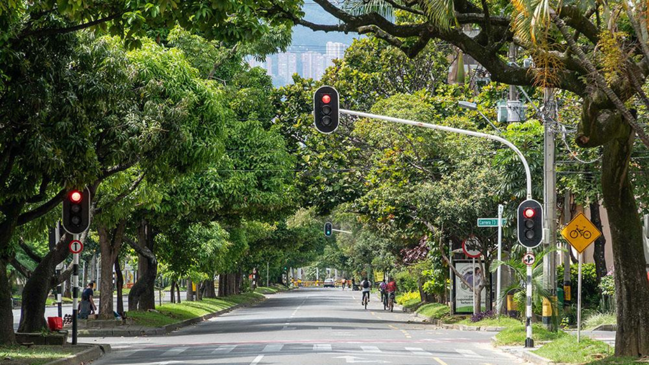 Colombia planted 880,000 trees across the streets of one city to tackle rising temperatures, and the plantation delivered localised cooling of up to 5°C in shaded areas