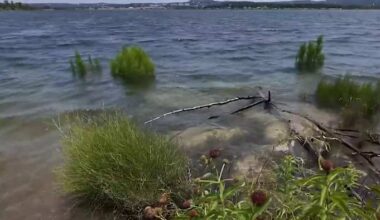 Water quality questions remain at Canyon Lake after flooding; officials warn of hidden debris