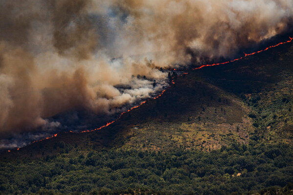 A wall of flames advances as a wildfire burns near Burgohondo, in Ávila province, Spain, Thursday, July 23, 2026. (Mateo Lanzuela/Europa Press via AP)