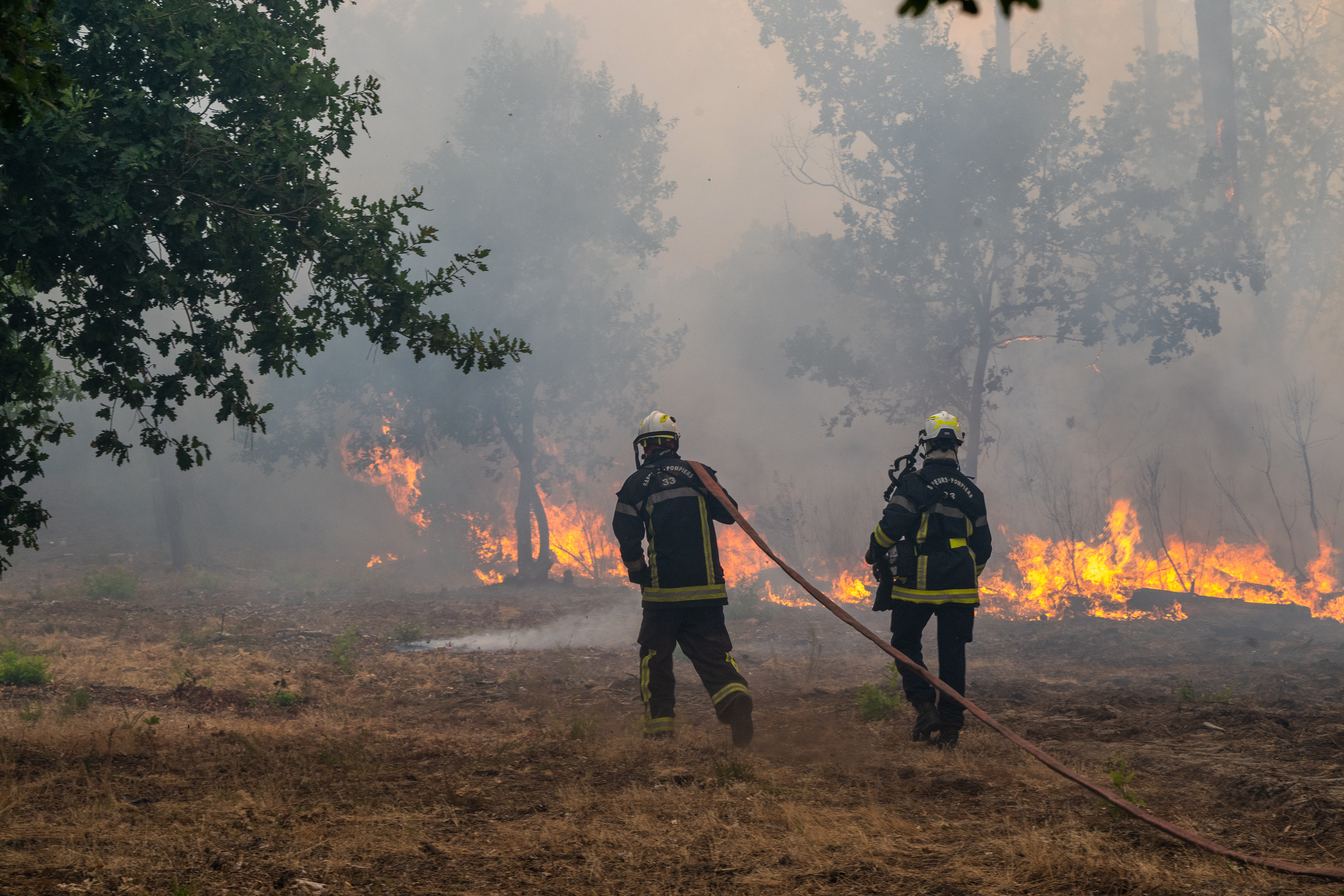 Fiirefighters spray water in a burning forest in the Lège-Cap-Ferret region