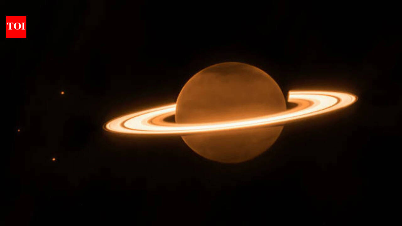 Two scientists are planning to venture into one of the most dangerous environments in the solar system and touch it. NASA thinks the plan could work |
