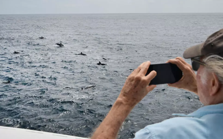 A passenger on a whale watching excursion takes pictures of dolphins in the waters off Long Beach -